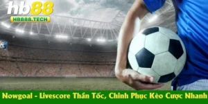 Nowgoal