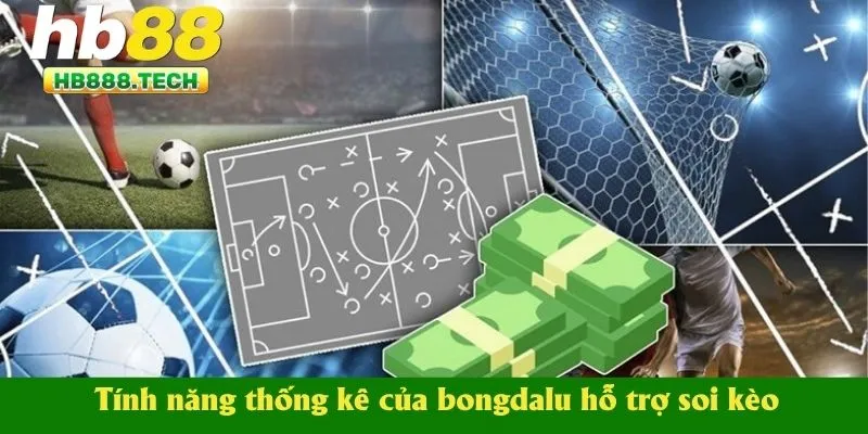 Tính năng thống kê của bongdalu hỗ trợ soi kèo